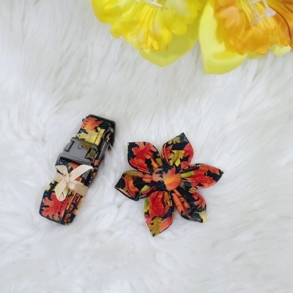 Dog collar whit flower new